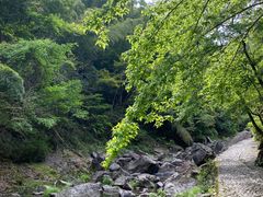 -丹山赤水风景名胜区