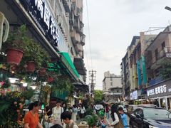 -溪岸路花鸟市场