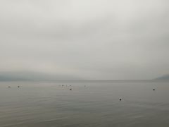 -阳宗海湿地