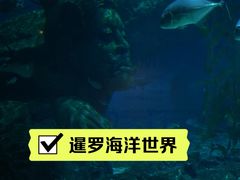 -暹罗海洋世界