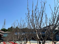 -观澜山水田园