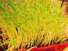 -五星桥原切肥牛火锅(怀德桥店)