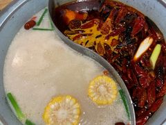 -青瓷火锅料理(西单大悦城店)
