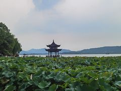 -1921餐厅.精选.浙味(一线西湖湖景店)