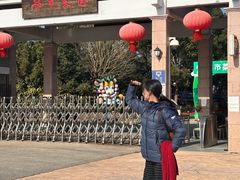 -上海都市菜园