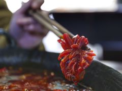 -星鸿社重庆老火锅