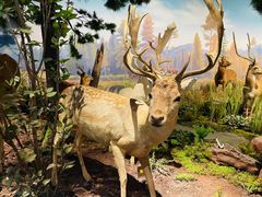 -陕西自然博物馆