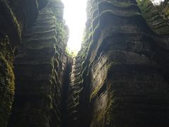 -梭布垭石林景区