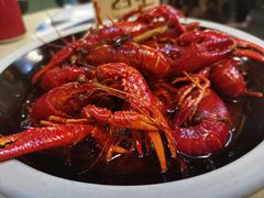 -江味龙虾馆·裸蓝龙虾(南山店)