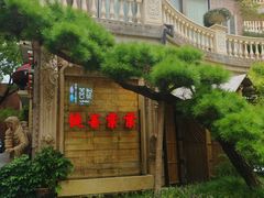 -叶叶菩提(太原别墅店)