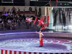 -无锡动物园·太湖欢乐园