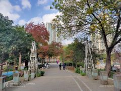 -苏州河梦清园环保主题公园