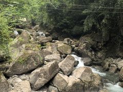 -青城山