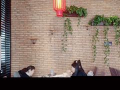 -毛家饭店·30年融合新湘菜(无影山店)