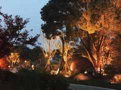 -昆山城市生态森林公园