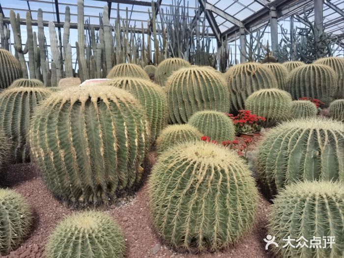 南通洲际绿博园图片