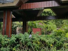 -广州锦绣香江度假别墅(官方直营店)