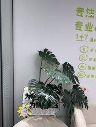 -凡碧诗毛孔清洁收细