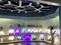 -甘肃地质博物馆