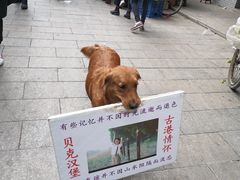 -黄埔古港