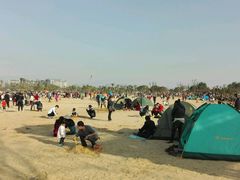 -瑶湖郊野森林公园