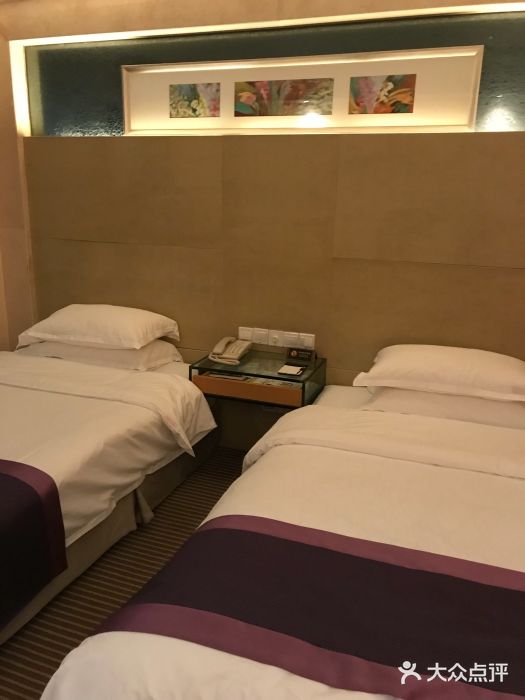 皇廷国际大酒店图片