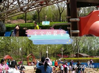 春日遛娃｜酷酷兔少儿拓展天地