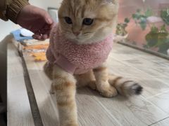 -宠颐生汉谟拉比宠物医院