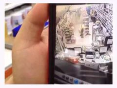 盛京一禾-盛京一禾