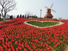 -杭州湾海上花田景区