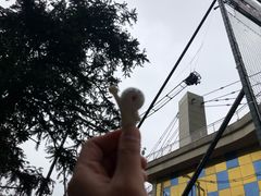 -梦幻奥陶纪景区