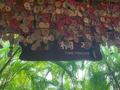 -呀诺达热带雨林