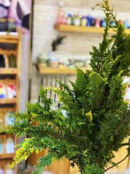 -今日陶艺(富力广场店)