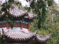 -洛阳白马寺