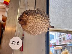 -大澳