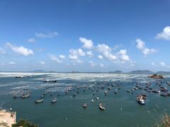 -枸杞岛