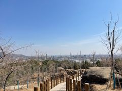 -白水寺森林公园