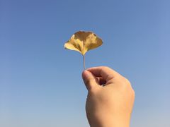 -梁鸿国家湿地公园
