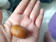 -粒上皇(莲塘聚宝路店)