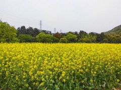 -西湖风景区-江洋畈生态公园