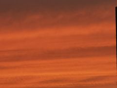 -咏春拳学总会·一拳咏春(双井店)