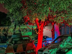 -巨鹏飞梦幻海岸