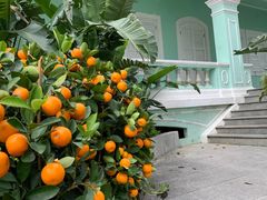 -龙环葡韵住宅式博物馆