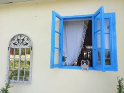 -DORA kids 朵拉儿童摄影花园店