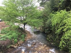 -衢州大荫山丛林飞越探险乐园