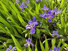 -白鹭湾湿地公园