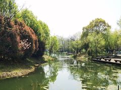 -梁鸿国家湿地公园