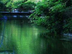 -上海吴淞炮台湾国家湿地公园