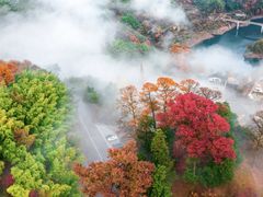 -四明山国家森林公园