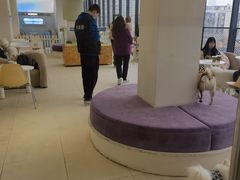 -怪兽屋·羊驼·猫咖·狗咖(俊华广场店)